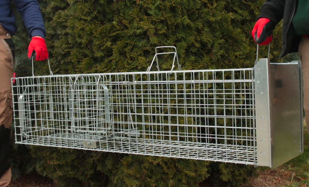 Snímka obrazovky 2026-02-17 o 18.59.57